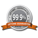 99.9% Uptime Guarantee Hosting Service