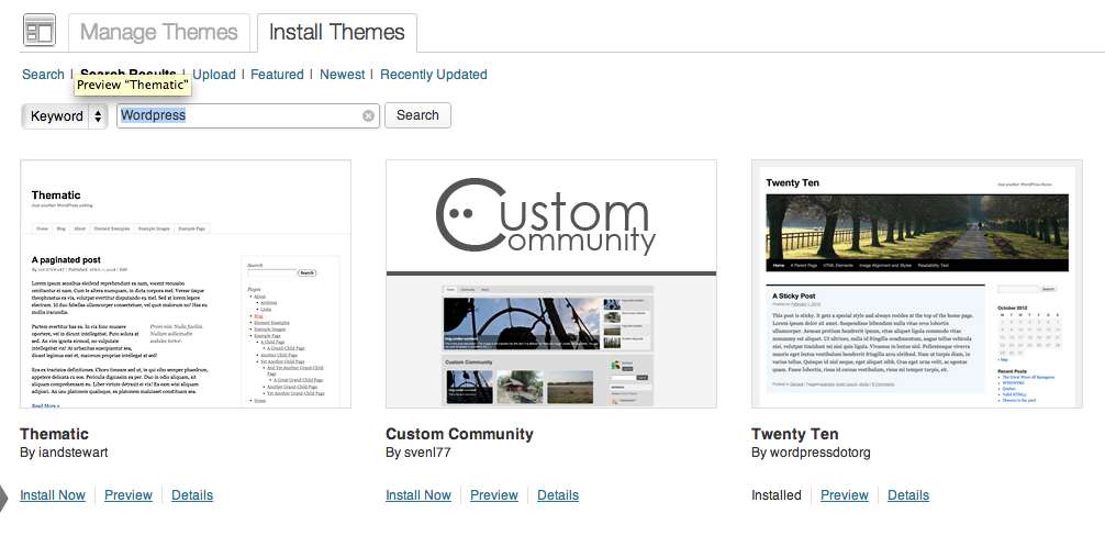 WordPress Theme Install