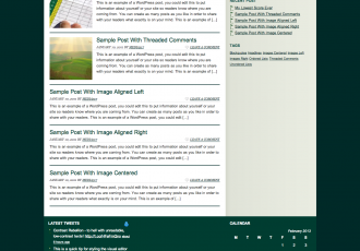 Tee Box — Building Child Theme Sites for Media317