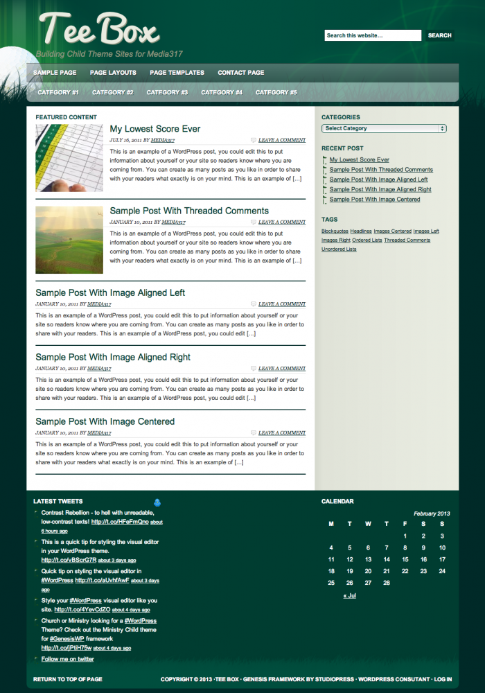 Tee Box — Building Child Theme Sites for Media317