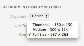 WordPress Attachment Display Settings